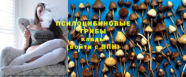 2c-b Волосово